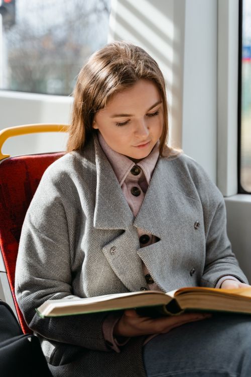 Free A young woman engrossed in reading a book while sitting inside public transport, near a sunlit window. Stock Photo