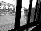 Black and white of cat begging while sitting behind glass door on terrace with furniture in daytime