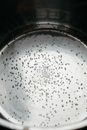 Stainless Cooking Pot with Water