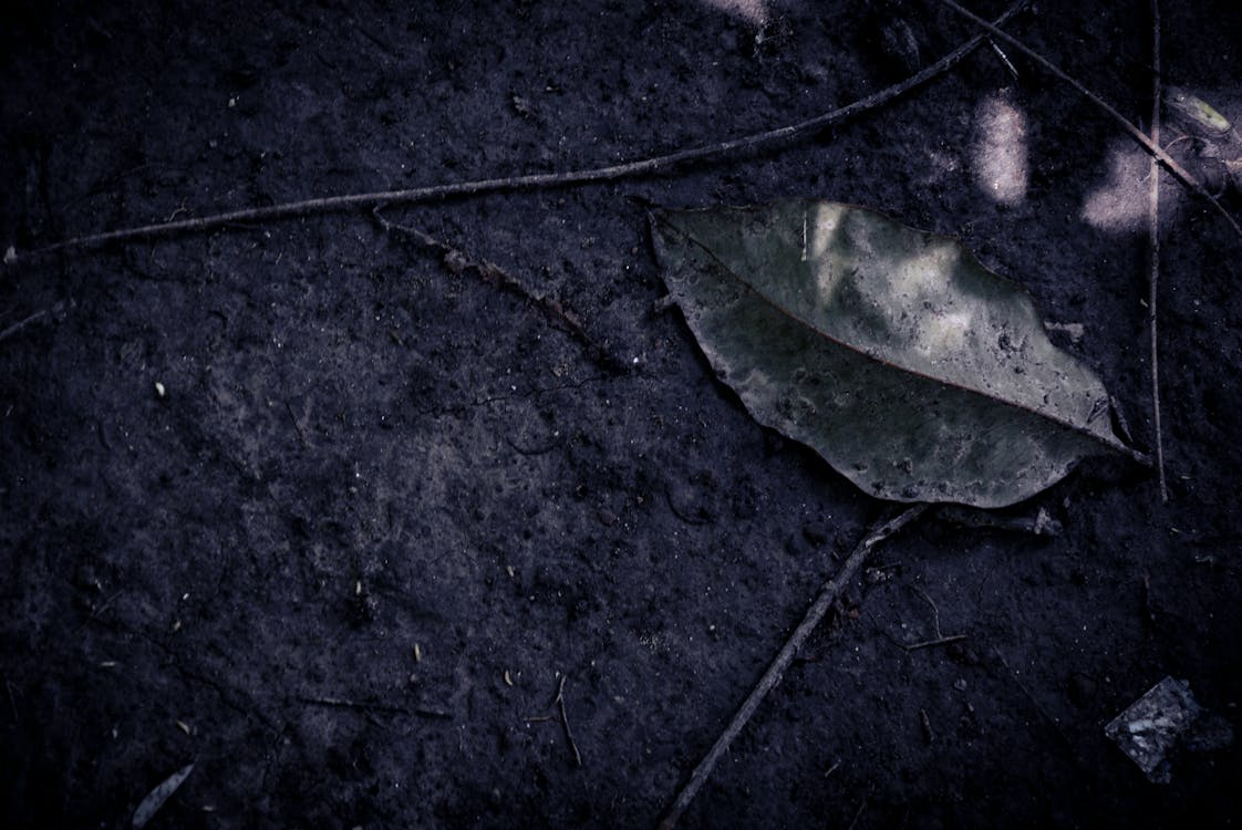 保德信保險集團部署AI戰略:新任CIO如何驅動保險業數位轉型? 保德信保險集團部署AI戰略:新任CIO如何驅動保險業數位轉型?