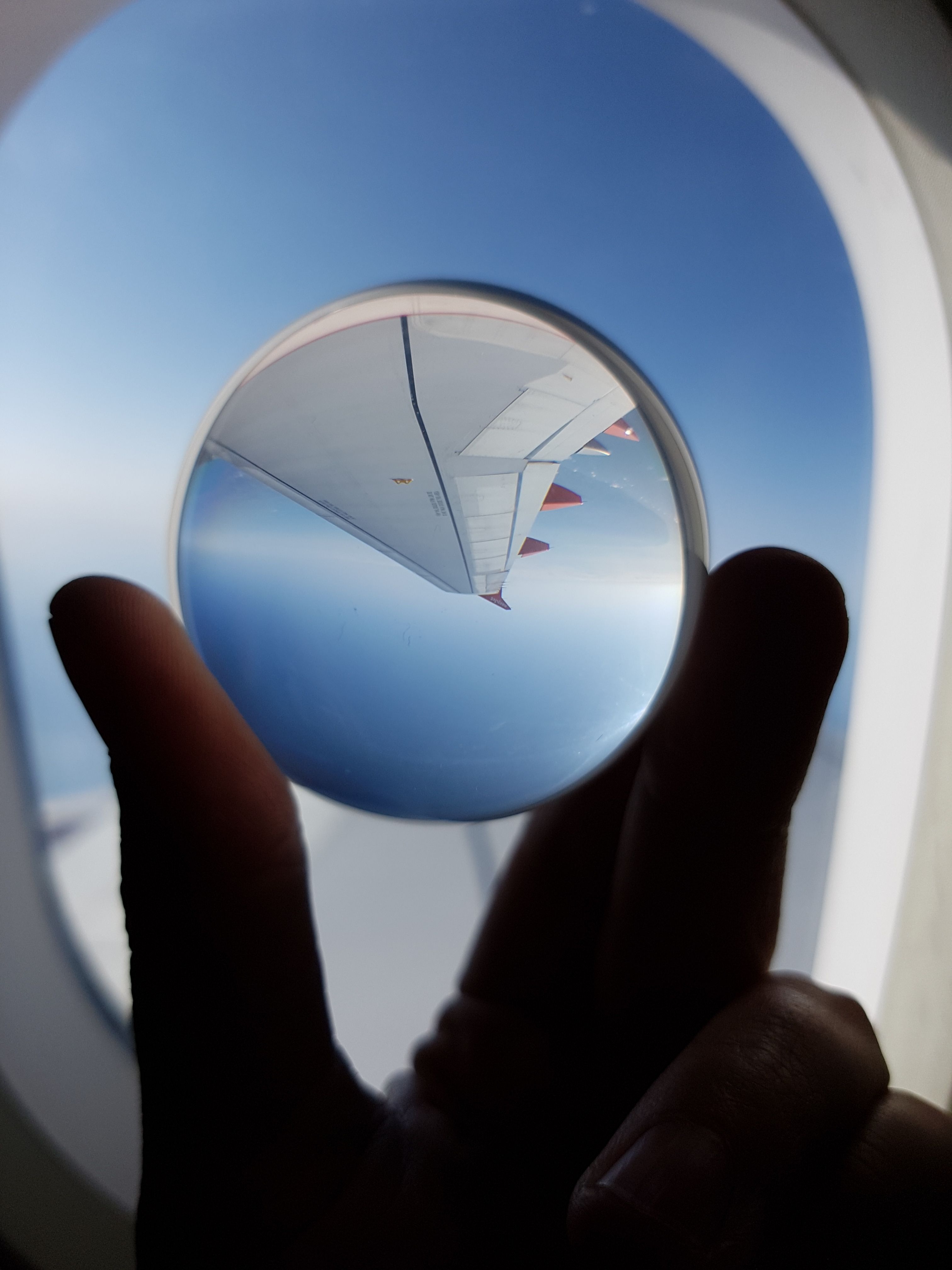 Airplane wing captured through a lensball, creating a unique reflective view.