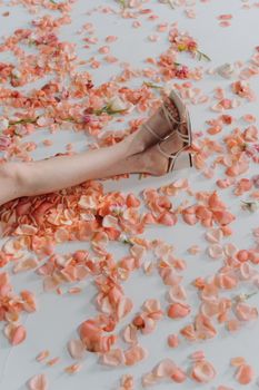A leg in high heels amidst scattered rose petals on a white background, exuding elegance.