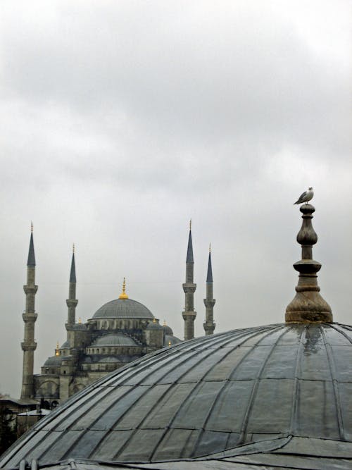 Free A View of the Blue Mosque from Across the Dome of Hagia Sophia Stock Photo