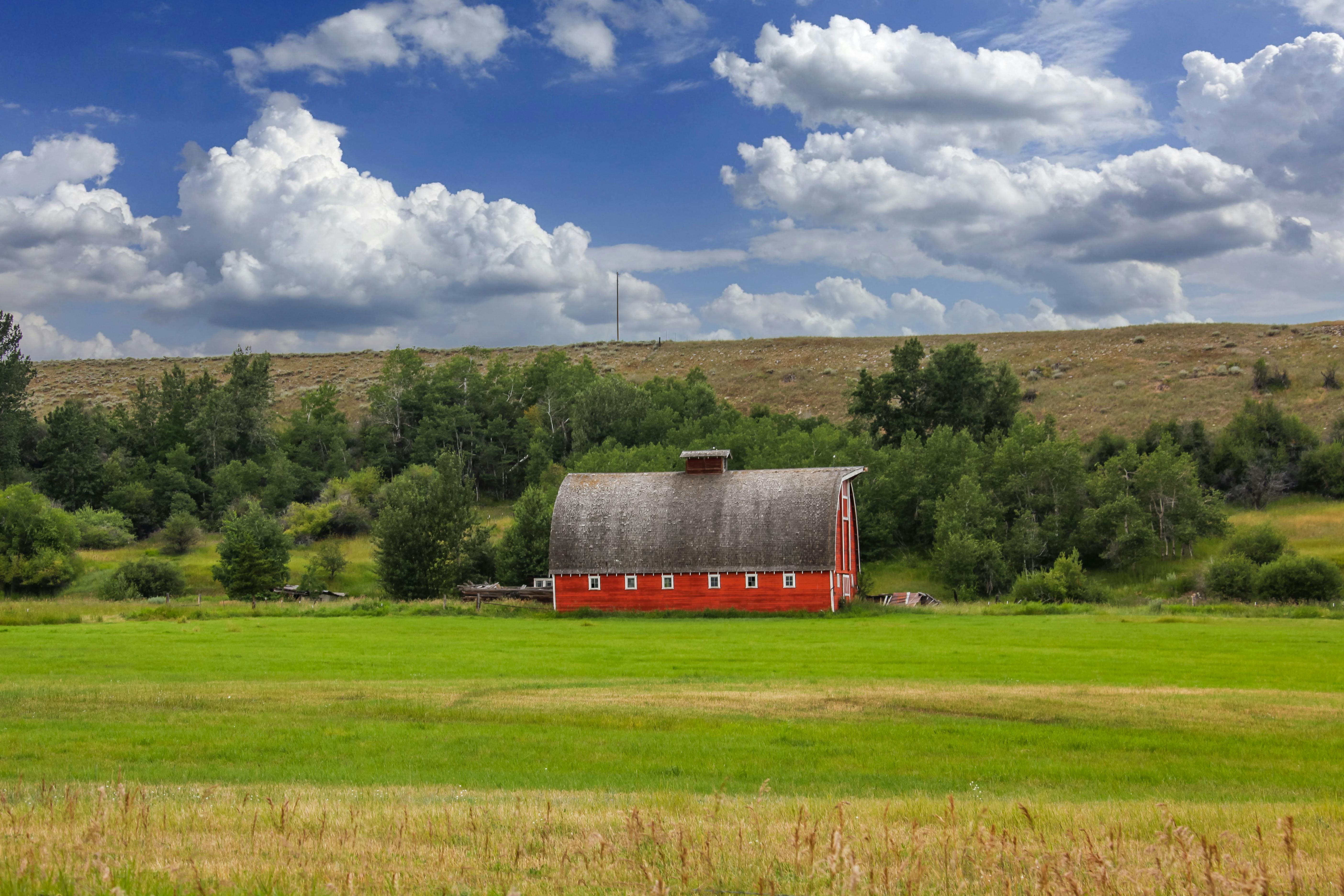 Gray Shed on White and Green Field Near Trees during Daytime · Free ...