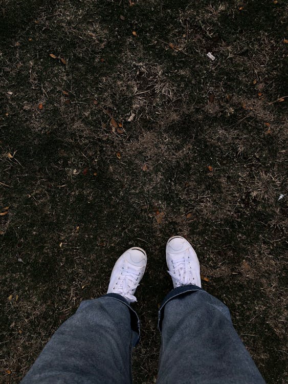 Free White sneakers on a grassy field shown from a unique top-view perspective. Stock Photo