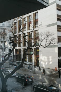 City streetscape showing modern buildings and a busy street in winter.