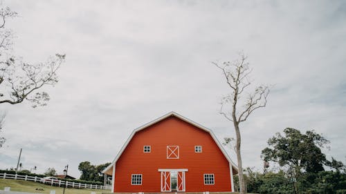 Immagine gratuita di alberi, campagna, casa