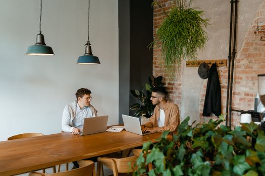 Two young businessmen collaborating in a modern workspace with laptops and greenery.