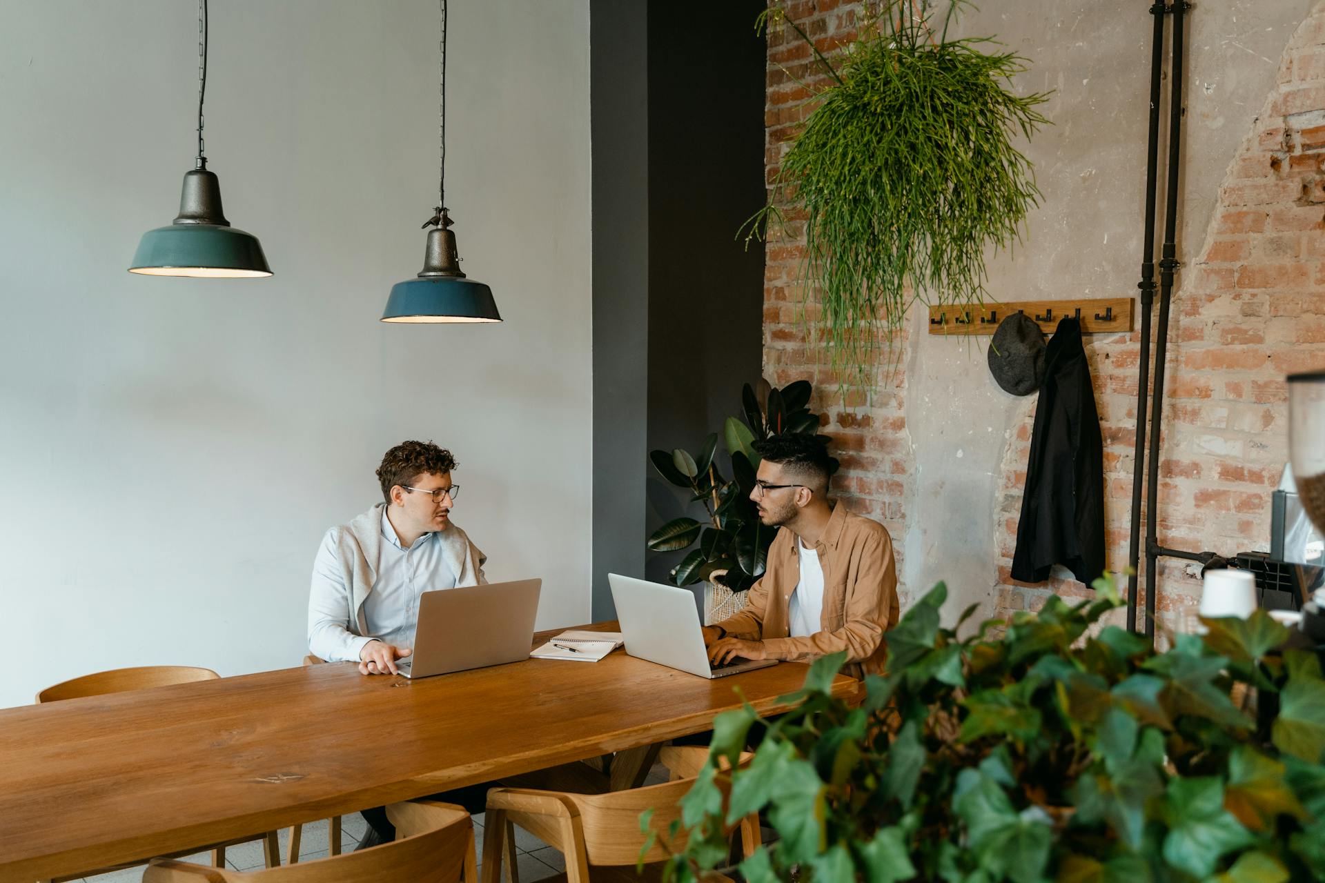 Two young businessmen collaborating in a modern workspace with laptops and greenery.