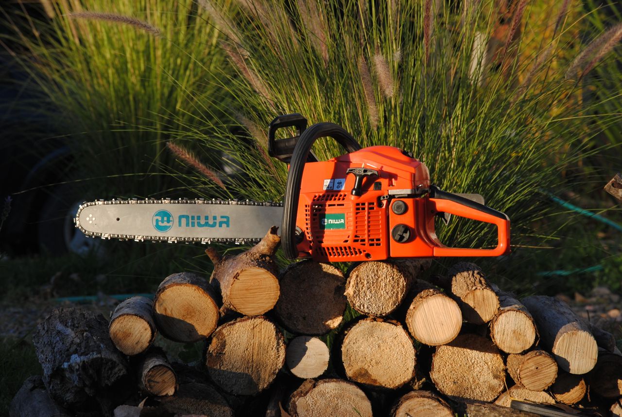 orange chainsaw resting on cut logs in a sunlit garden surrounded by g
