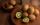 kiwi fruit