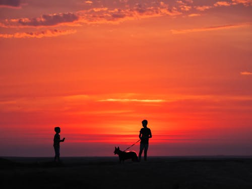 Silhouette of Kids with a Dog Standing on the Shore