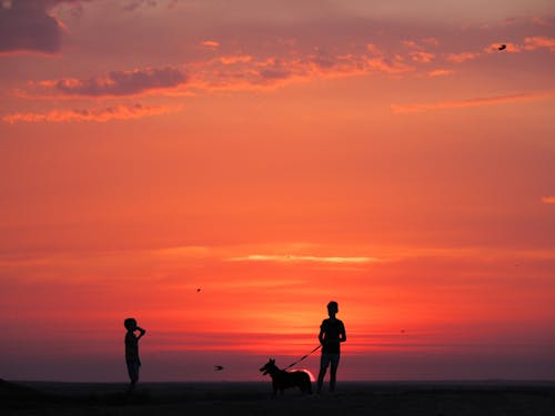 Silhouette of Kids Standing on Beach during Sunset
