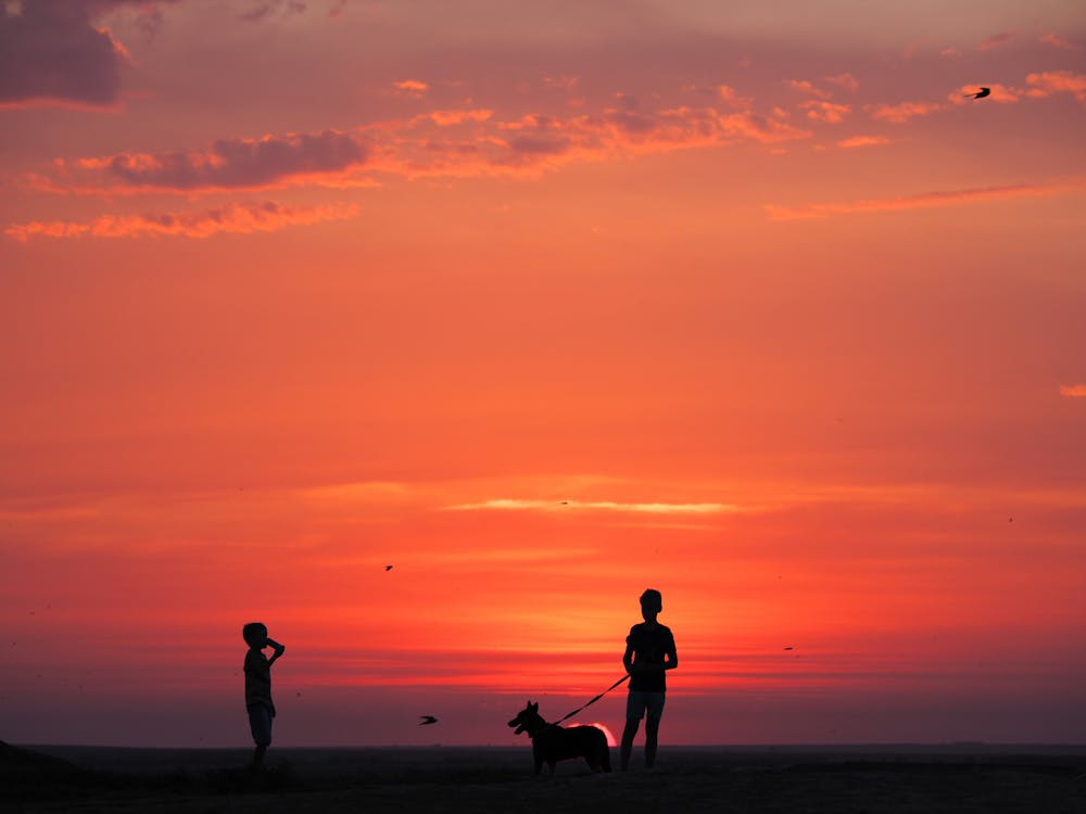 Silhouette of Kids Standing on Beach during Sunset