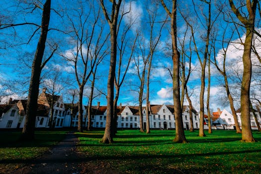 阳光明媚的日子里，可以看到一座被树木环绕的历史建筑，非常适合旅行和建筑爱好者