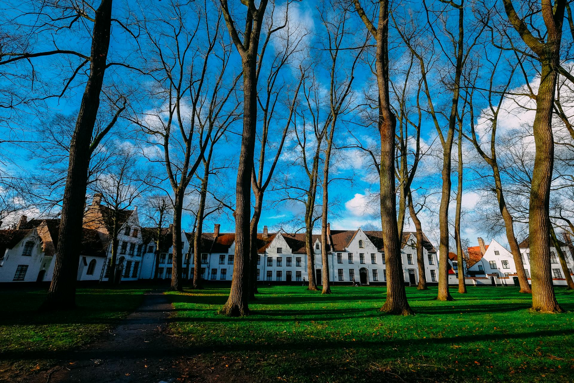 A scenic view of a historic building surrounded by trees on a sunny day, perfect for travel and architecture enthusiasts.