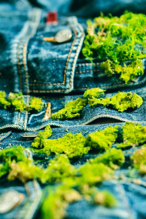 A Close-Up Shot of Moss on a Denim Jacket