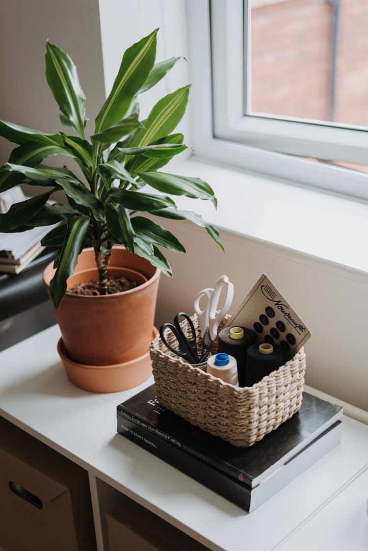 Sewing Kit Near Potted Plant