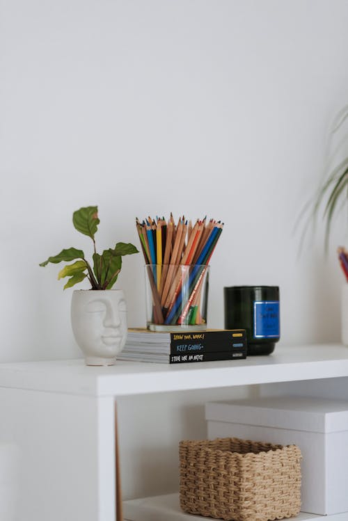 Green potted plant placed on white table with set of multicolored pencils for drawing on books at wall in room with wicker basket