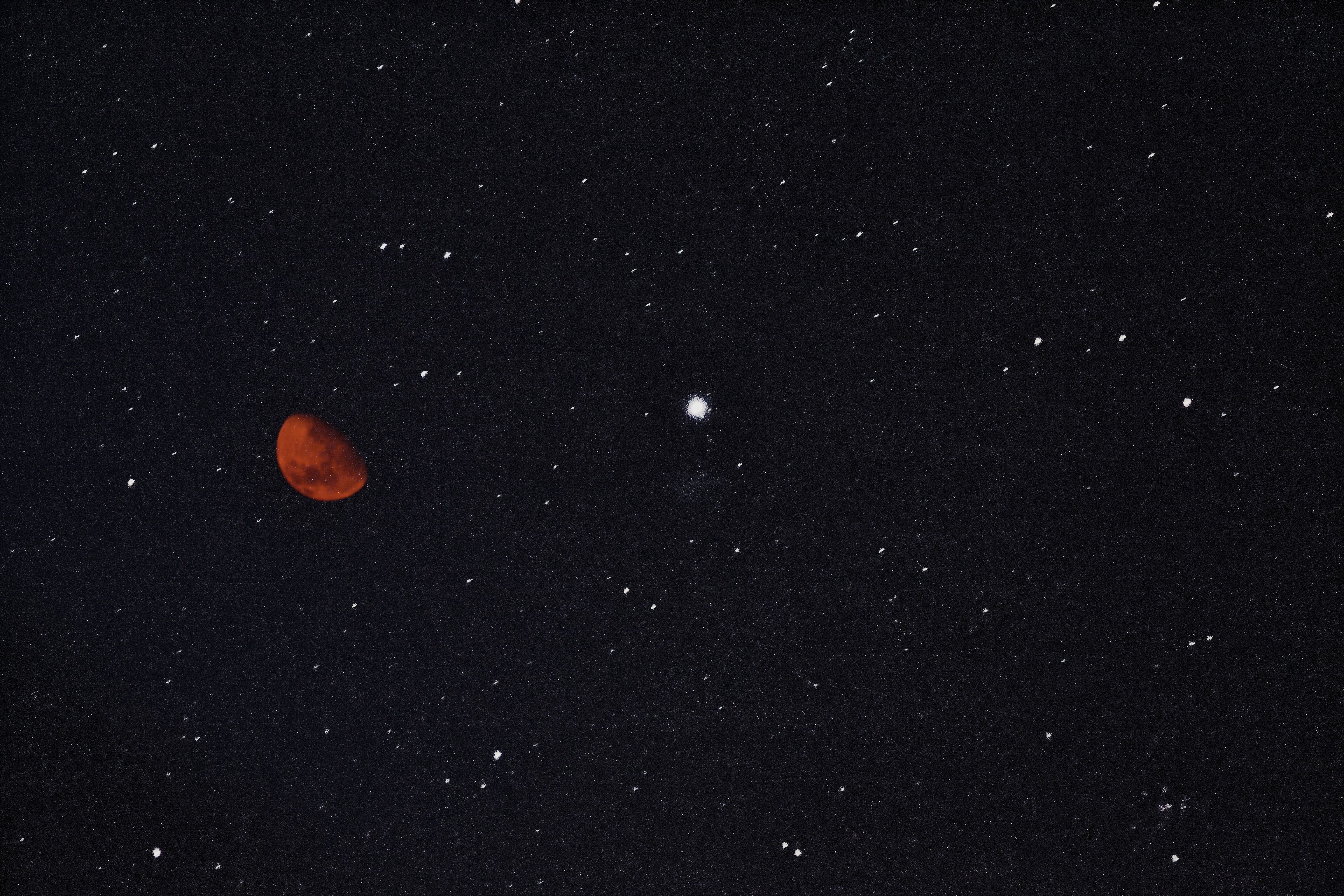 Free stock photo of contrast, crescent moon, full moon