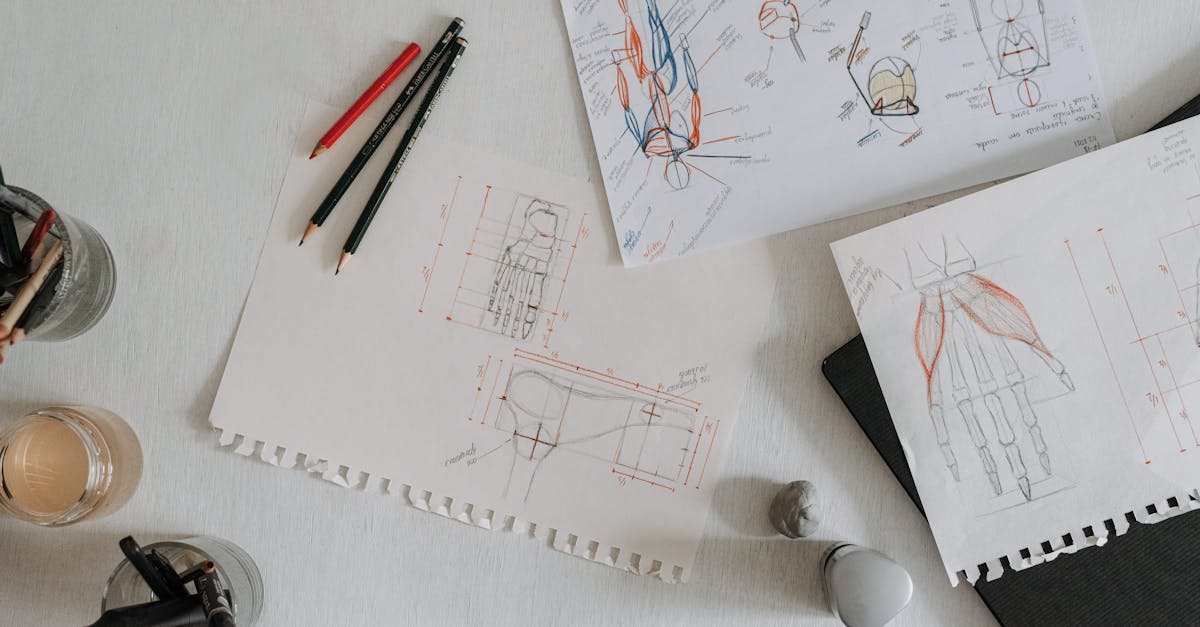 How to Create a Storyboard: A Beginner's Guide