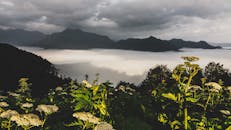 穆库拉市的绿色植物和薄雾山丘的壮丽景色在佐治亚州