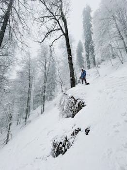 A lone hiker explores a snow-covered forest on a winter day, capturing adventure.
