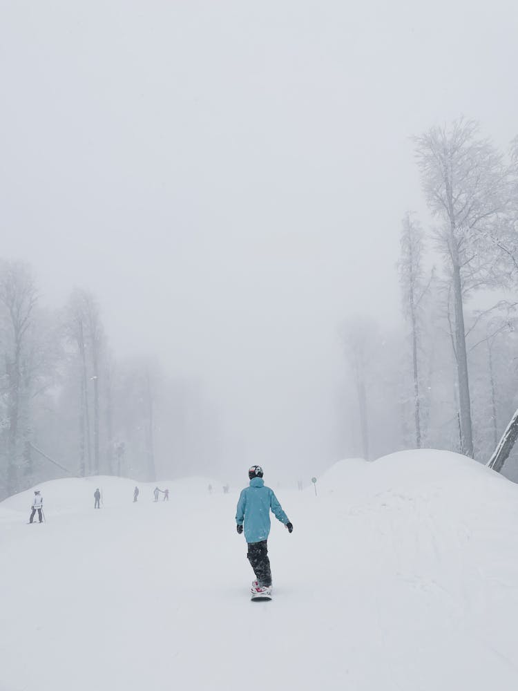 People Snowboarding And Skiing