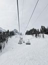 Snow Covered Pine Trees and Mountains