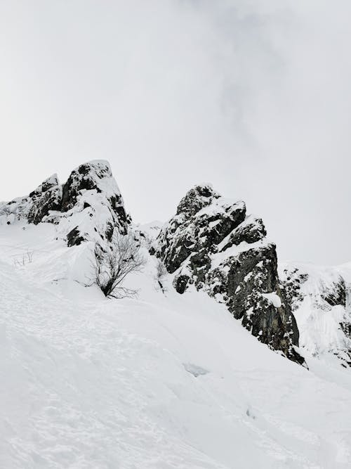 Fotobanka s bezplatnými fotkami na tému biela obloha, chladný, krajina