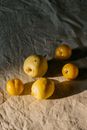 3 Yellow Citrus Fruits on Gray Textile