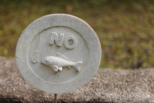 Foto d'estoc gratuïta de estany, no, pescant