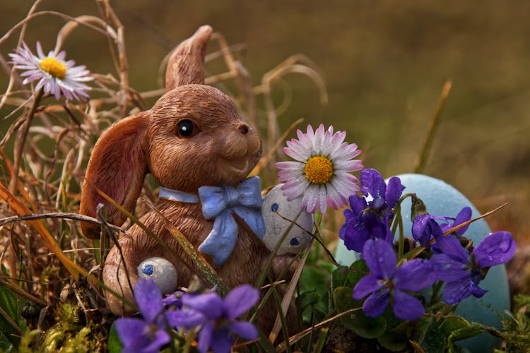 Easter Bunny And Flowers Beside Brown Grass