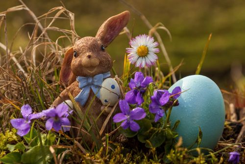 Free Adorable ceramic Easter bunny with violet flowers and a blue egg in a serene outdoor setting. Stock Photo
