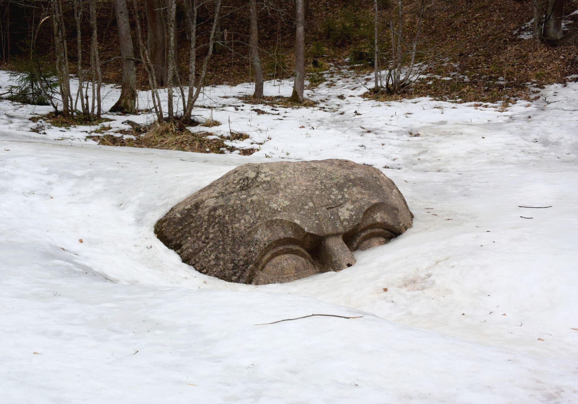 A stone face sculpture partially covered in snow surrounded by trees.