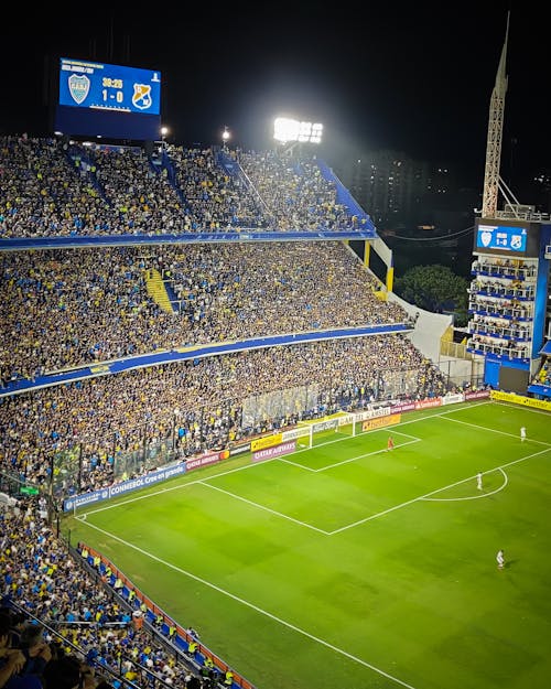アルゼンチン, サッカーファン, サッカー競技場の無料の写真素材