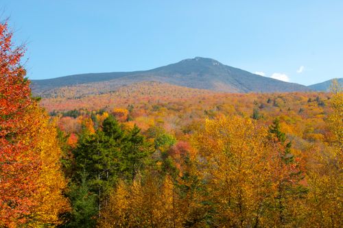 Free Vibrant autumn trees and a majestic mountain under a clear blue sky. Stock Photo