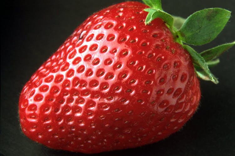 Red Strawberry Fruit