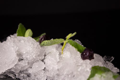 Безкоштовне стокове фото на тему «кубик льоду, лід, перцева м’ята»
