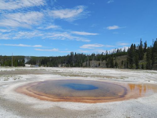 Free Scenic view of a vibrant hot spring amidst forest at Yellowstone National Park on a clear day. Stock Photo
