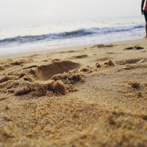 斯里蘭卡, 海灘 的 免费素材图片