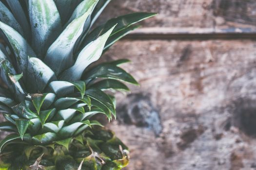 Pineapple Fruit