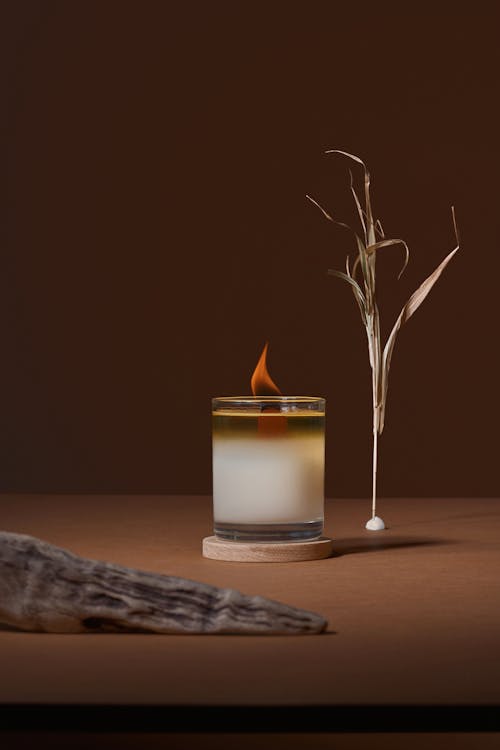Burning aroma candle in glass holder placed near thin grass and wooden board in studio