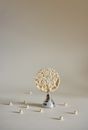 Composition of puffed rice cake on metallic stand around small pearls in white studio