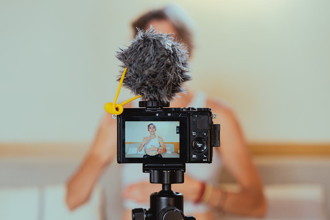 Person Holding Black Camera Taking Photo of Yellow Flower