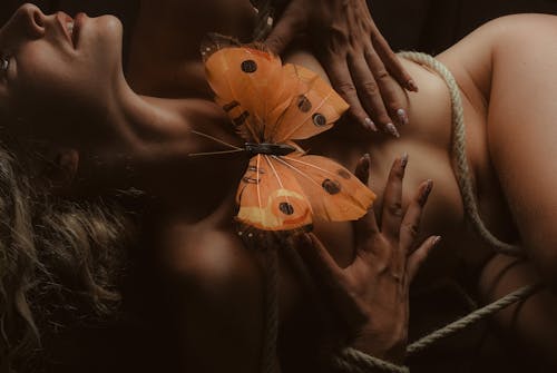 Artificial Butterfly on Naked Womans Body 