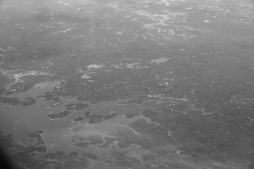Aerial view showcasing intricate water bodies and landscapes in grayscale, highlighting natural beauty.
