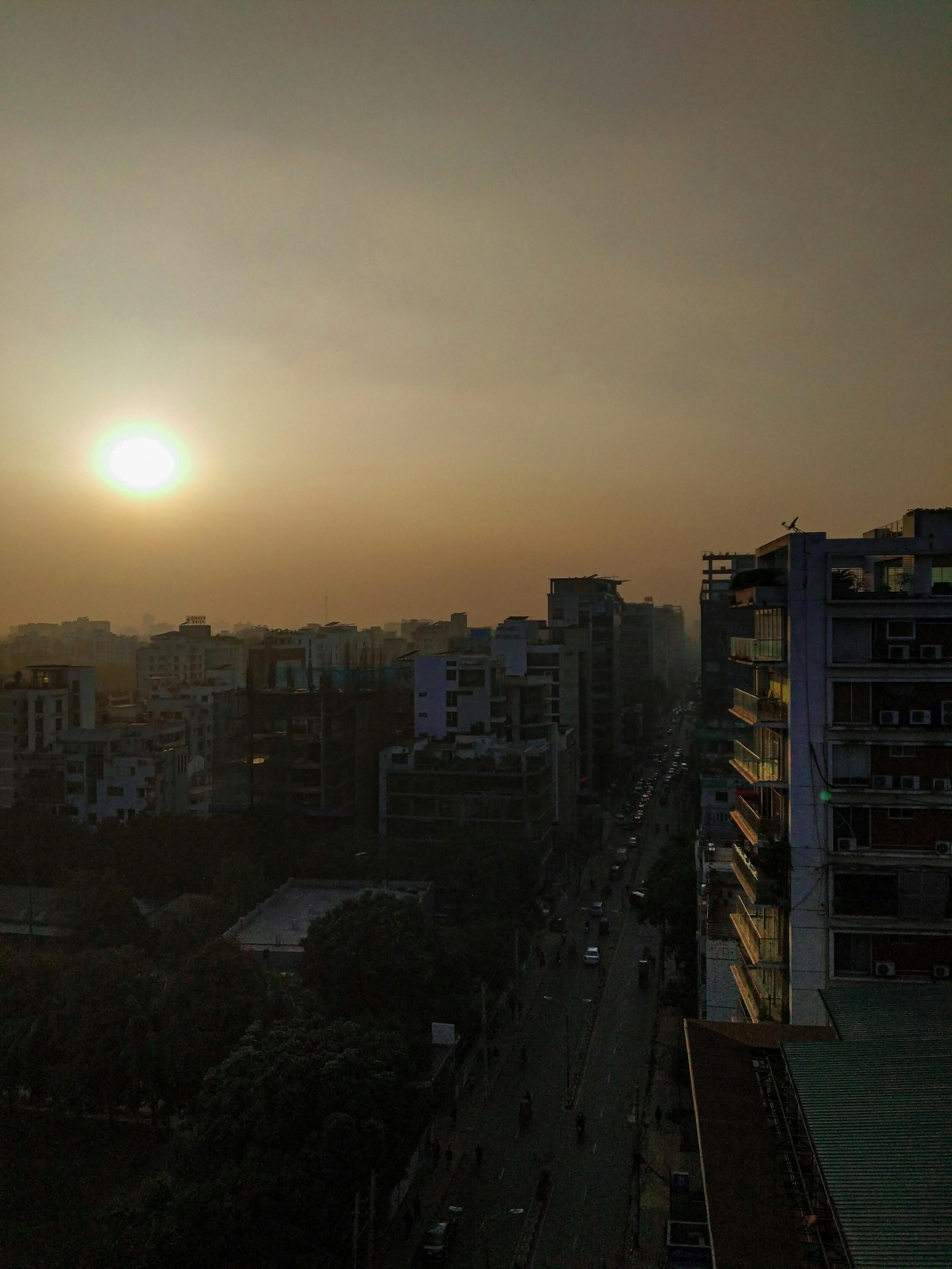 A vibrant display of Ayurvedic herbs and powders like turmeric and ashwagandha, used in Rasayana therapy.