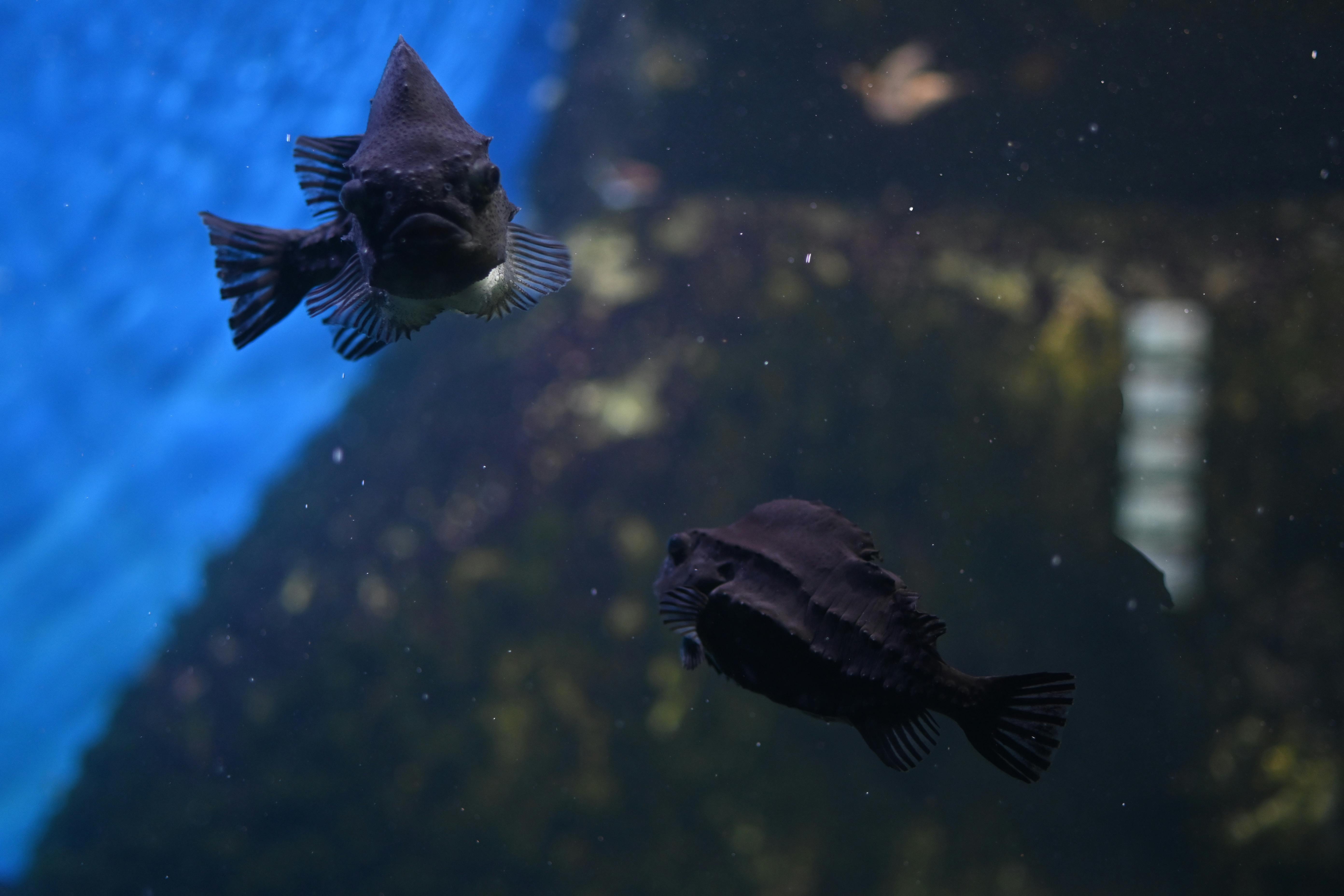 Contact Lenses and Eye Health