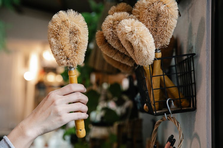 Close-up Of Holding A Brown Brush